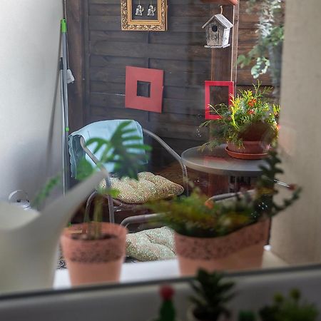 Apartament U Olechny 4 Bydgoszcz Esterno foto
