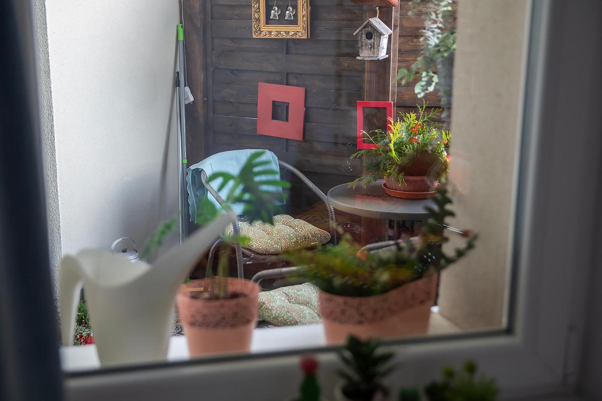 Apartament U Olechny 4 Bydgoszcz Esterno foto